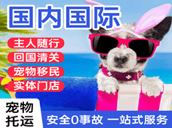 东极机场托运国际宠物托运 【国